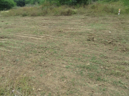 2) 55 Ankanams Residential Plots Sale in Tirupati Surroundings.JPG